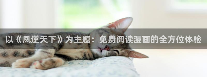 91漫画书