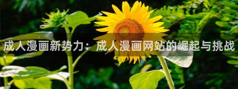 91漫画下载软件